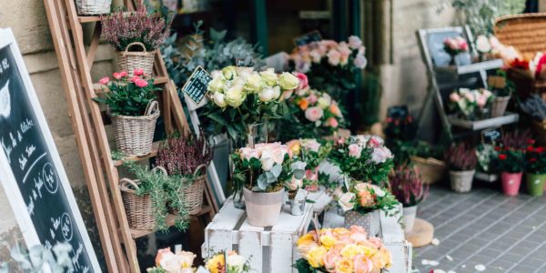 Vielfältige Berufsbranchen im Einzelhandel. Baumarkt und Floristik